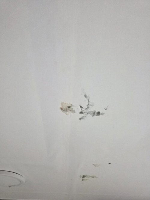 하남 누수탐지 덕풍동 아파트 5층 안방 욕실 벽체 시공 후기 사진