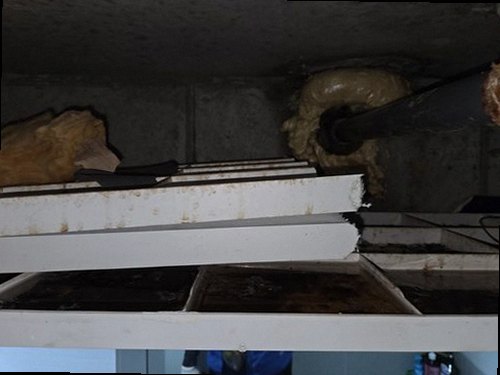 오산 누수탐지 욕실 유가와 타일 줄눈의 방수 상태를 확인하는 현장 점검