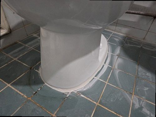 서초구 현장 확인