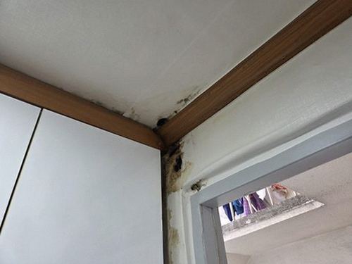 부여군 누수탐지 장암면 농가주택 1층 작은방 시공 후기 사진