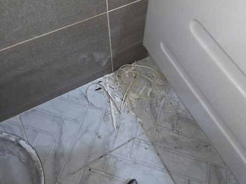 영도구 누수탐지 신선동 누수탐지 화장실벽누수 원인은 어떻게 찾을까?