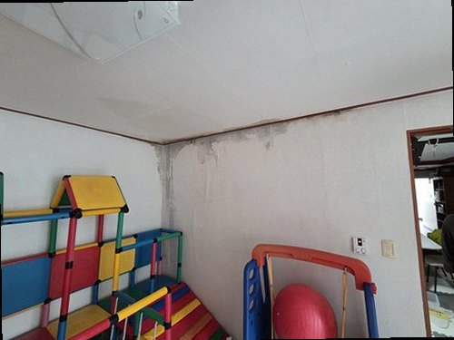 병점구 누수탐지 거실 천장과 벽면의 누수 흔적을 점검하는 모습