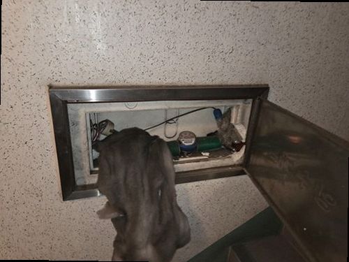 시흥 누수탐지 벽지 들뜸과 천장 얼룩이 나타난 누수 현장