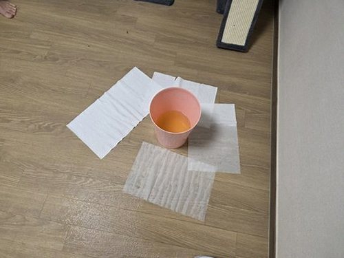 방학동 누수탐지 아파트 거실 얼룩은 어떻게 원인을 가릴까