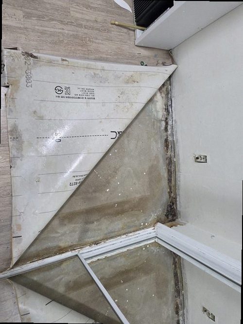 의정부 누수탐지 천장과 벽면에 나타난 누수 흔적을 확인하는 모습