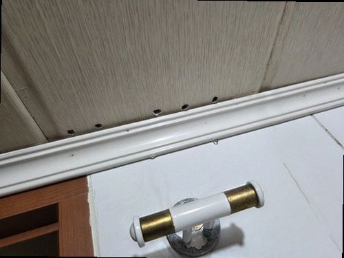 금천구 누수탐지 시흥동 누수탐지 욕실천장누수 두 시간 안에 원인까지 확인