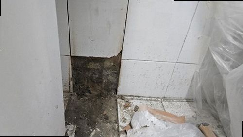 금천구 재점검 기록