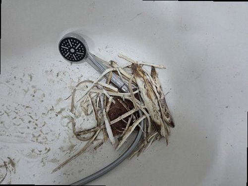제물포구 누수탐지 주안동 오피스텔 5층 현관 벽면 시공 후기 사진