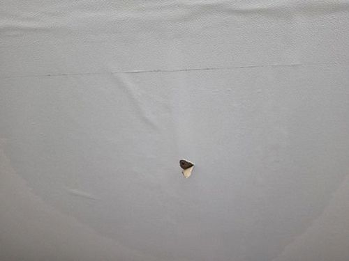 도림동 누수탐지 윗집물샘피해 기본 개념과 탐지 절차