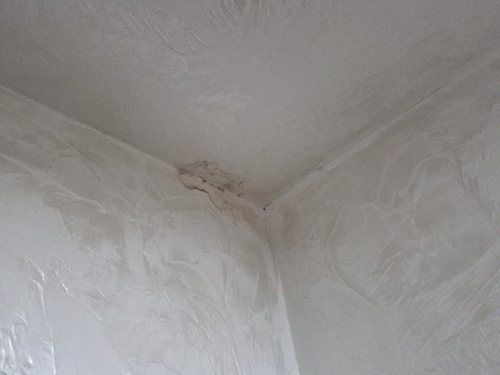 동작구 누수탐지 상가 천장 물샘 복구