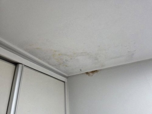 동작구 누수탐지 아랫집 천장 얼룩 피해 확인 장면