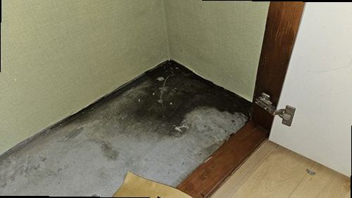광명 누수탐지 배관 누수 위치를 확인한 뒤 보수와 바닥 마감을 진행하는 현장