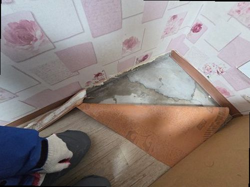 망우동 누수탐지 망우본동 누수탐지 안방물샘해결 처음부터 확인하는 누수 대응법