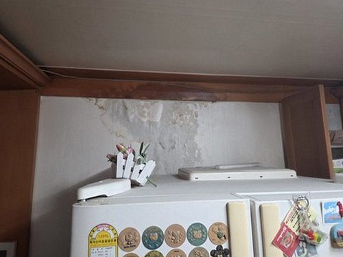 용산구 재점검 기록 용산구 재점검 기록