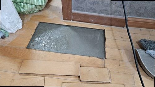 일산동구 누수탐지 천장 물자국과 벽면 습기를 확인하는 누수 점검 현장