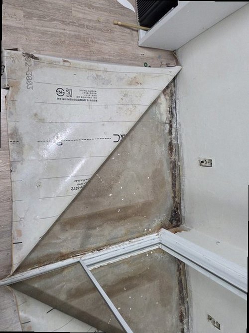 과천 누수탐지 공압 게이지와 열화상 카메라를 활용한 배관 검사