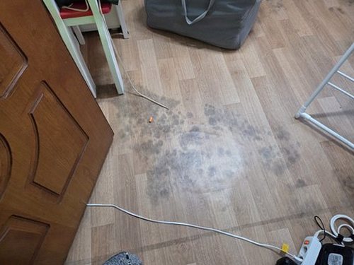양평 누수탐지 거실 벽지는 왜 젖을까요?