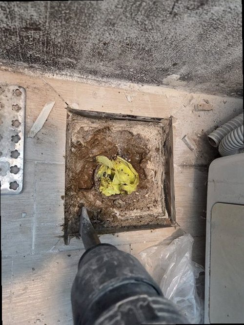 양평 누수탐지 벽면 얼룩과 습기 발생 위치를 확인하는 모습