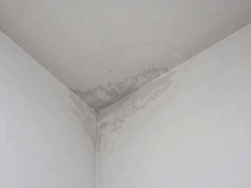 기흥구 누수탐지 서농동 누수탐지 윗집물샘피해 의외의 원인별 신호를 구분하는 기준