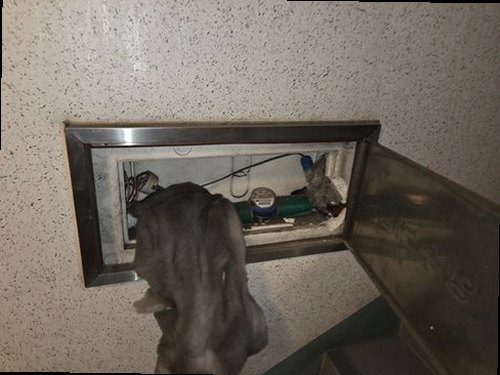 아산시 누수탐지 온천동 누수탐지 천장누수물소리 물자국에서 원인까지 확인한 현장