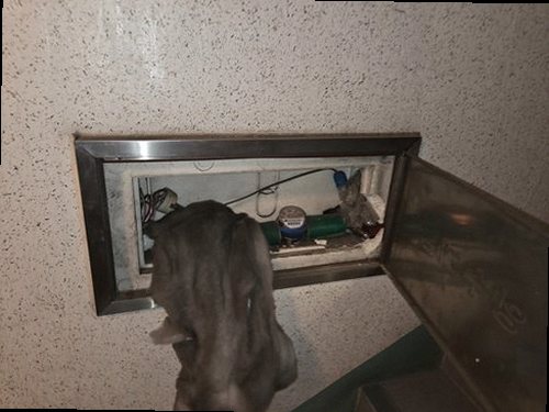 양주 누수탐지 벽면 얼룩과 누수 흔적을 확인하는 현장 점검 모습