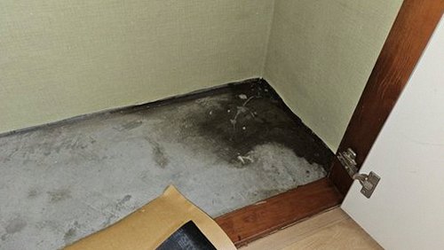 대신동 누수탐지 거실 벽면 하단에 나타난 눅눅함과 몰딩 주변 변색 상태