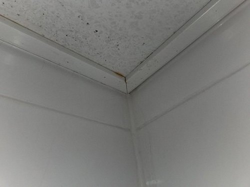 서대문구 누수탐지 천장 물방울 얼룩 확인과 배관 점검 장면