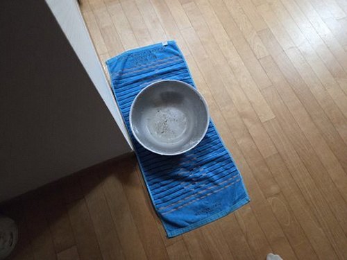 현저동 누수탐지 거실누수검사비용 놓치기 쉬운 차이