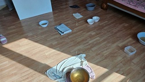 서대문구 누수탐지 거실 천장 물자국과 수도계량기 별침을 확인하는 모습