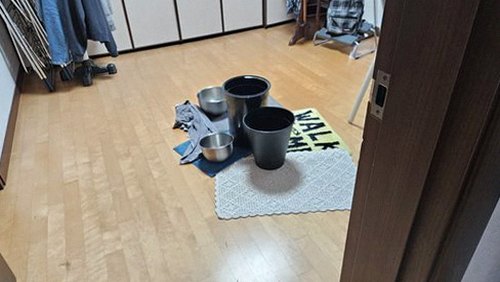 연희동 누수탐지 거실 벽면 얼룩을 점검하는 모습