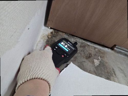 이천 누수탐지 천장 물자국과 바닥 습기를 확인하는 현장