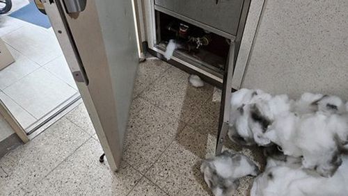 이천 누수탐지 단월동 누수탐지 배관누수보험 보상 범위와 자부담 비교