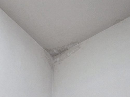 송파구 누수탐지 안방 천장과 벽의 누수 흔적 및 주변 상태를 확인하는 모습