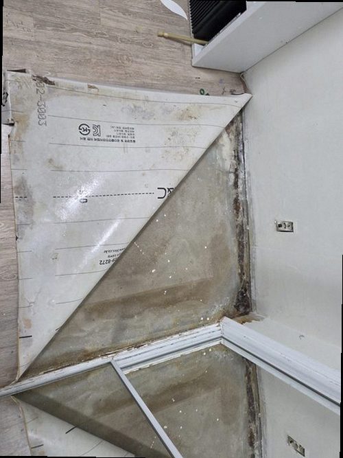 송파구 누수탐지 벽지 얼룩과 천장 누수 피해를 확인하는 현장 점검 모습