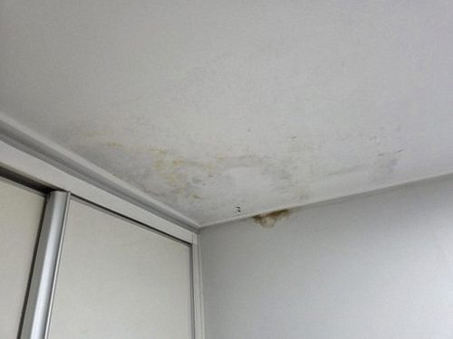 오금동 누수탐지 청음 탐지기를 바닥 배관 위에 대고 누수음을 확인하는 점검 장면
