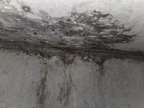 팔달구 누수탐지 지동 누수탐지 위층베란다물샘 개념과 방치 위험