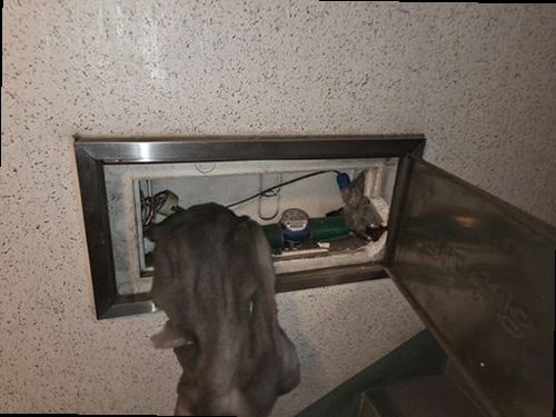 평택 누수탐지 천장 얼룩과 욕실 바닥 습기를 확인하는 누수 점검 모습
