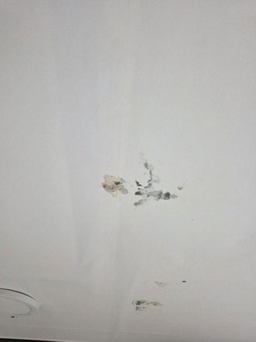 여주 누수탐지 누수 탐지 장비로 배관과 실내 수분 상태를 확인하는 과정