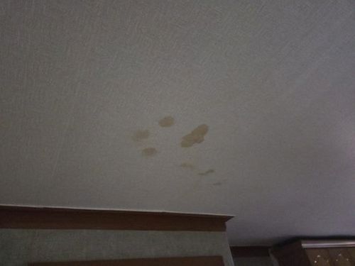 영통구 누수탐지 벽지 젖음 범위와 수분 측정 지점을 기록한 현장 점검 장면