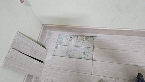 영통구 누수탐지 거실 천장 얼룩과 누수 원인별 증상 비교