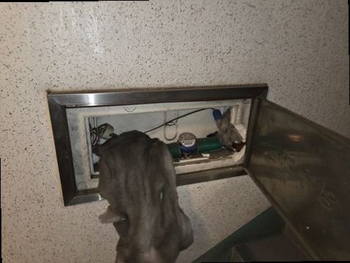 양천구 누수탐지 압력 게이지와 청음 장비로 배관 누수 여부를 점검하는 과정
