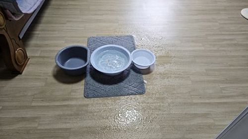양천구 누수탐지 신정동 누수탐지 아파트 거실 얼룩의 숨은 원인과 확인 순서