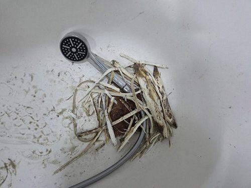 강남구 누수탐지 서초동 빌라 4층 작은방 벽면 시공 후기 사진