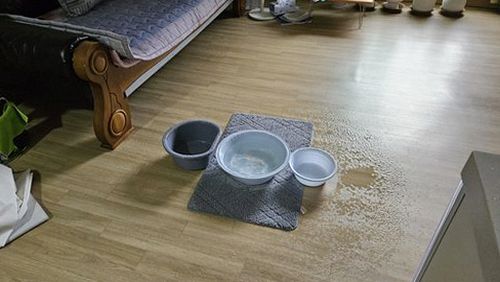 강남구 누수탐지 개포동 누수탐지 아파트 천장 얼룩 방치하면 번집니다