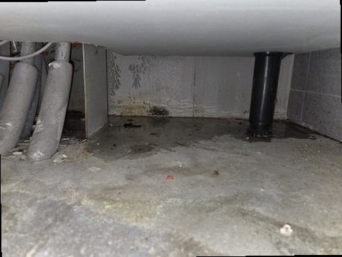 해운대구 누수탐지 싱크대 하부장과 벽지에 번진 누수 흔적을 확인하는 현장