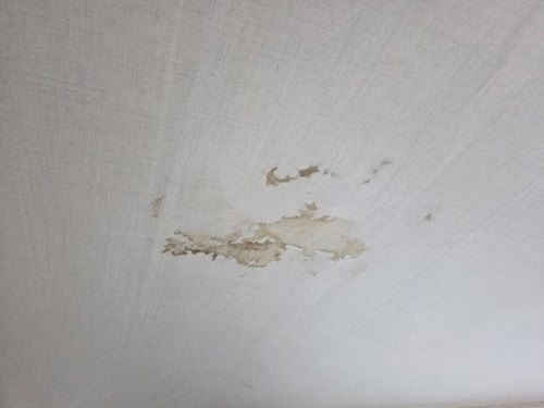 대전 동구 누수탐지 효동 누수탐지 아파트 천장 얼룩 원인을 단계별로 좁히는 법