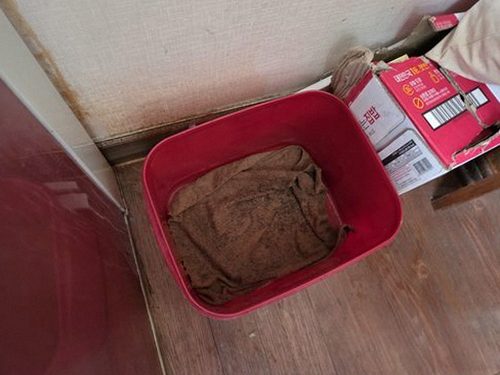 연천 현장 확인