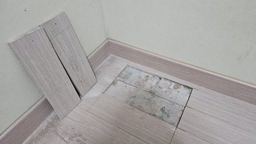 일산서구 누수탐지 주엽동 누수탐지 현장에서 거실 물자국을 읽는 방법
