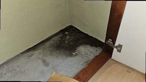 덕양구 누수탐지 벽제동 누수탐지 주택누수찾기 천장 얼룩이 사라진 현장 과정