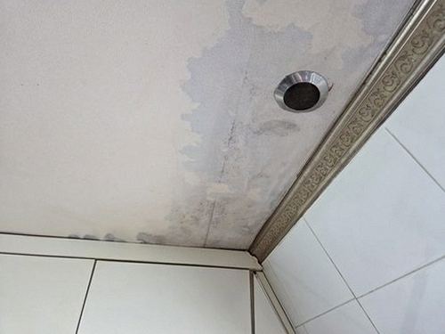 광진구 누수탐지 능동 누수탐지 아래층물샘 기본과 처치 전후 변화